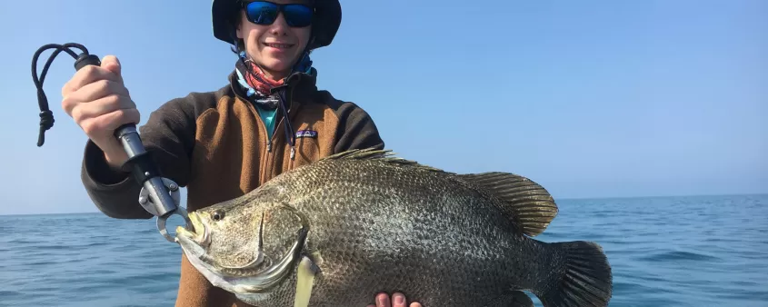 A Tripletail catch